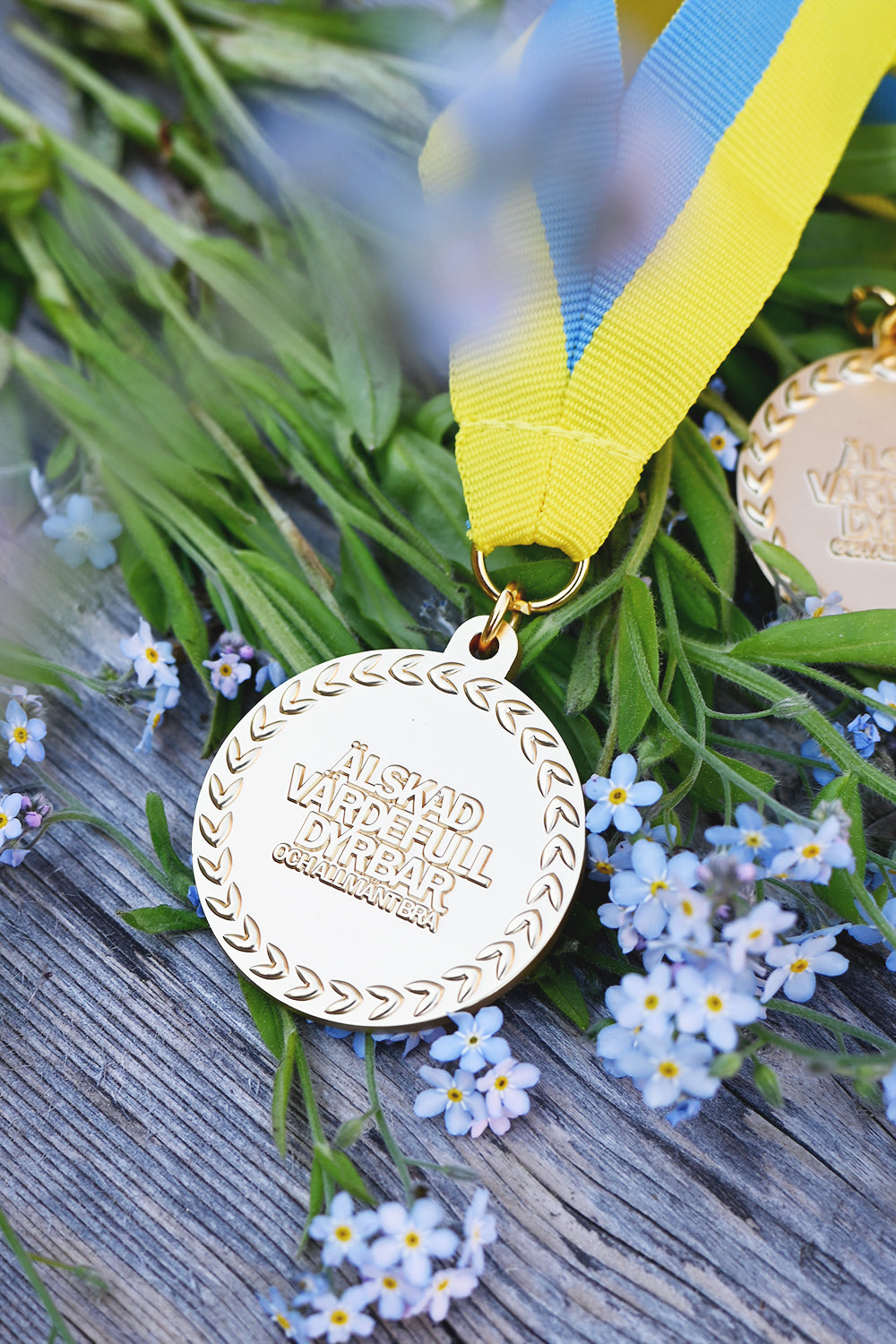 Matt medalj med Sverigeband: Älskad, värdefull, dyrbar