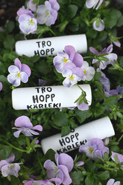 Cerat med hylsa av återvunnen plast: Tro, hopp, kärlek!