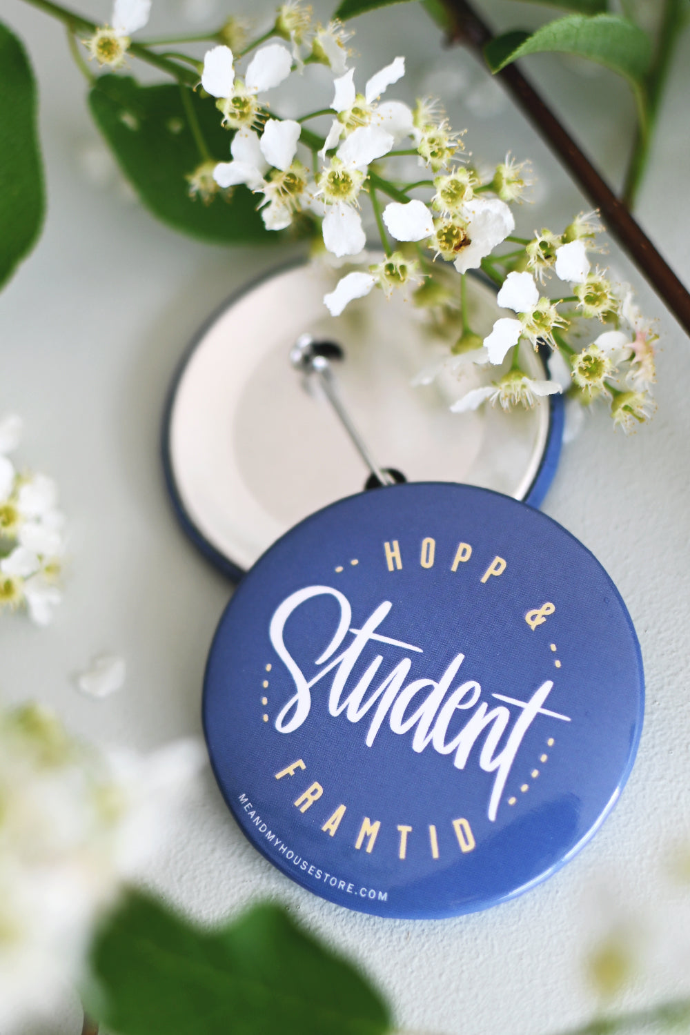 Stor knapp: Student / Hopp & framtid