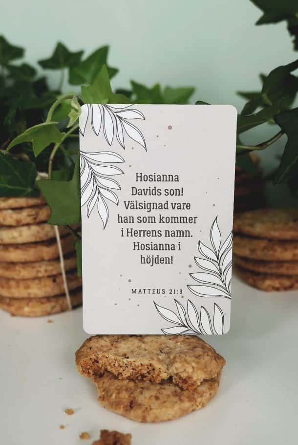 Små, matta gråtonade etiketter i 10-pack: Hosianna Davids son!