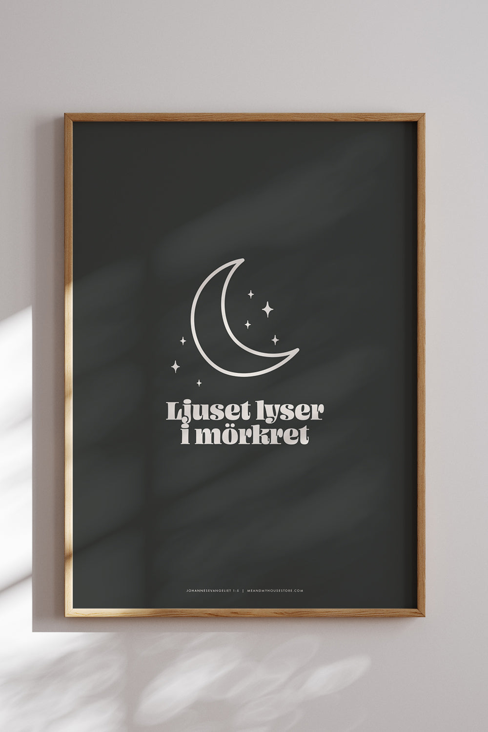 Poster: Ljuset lyser i mörkret