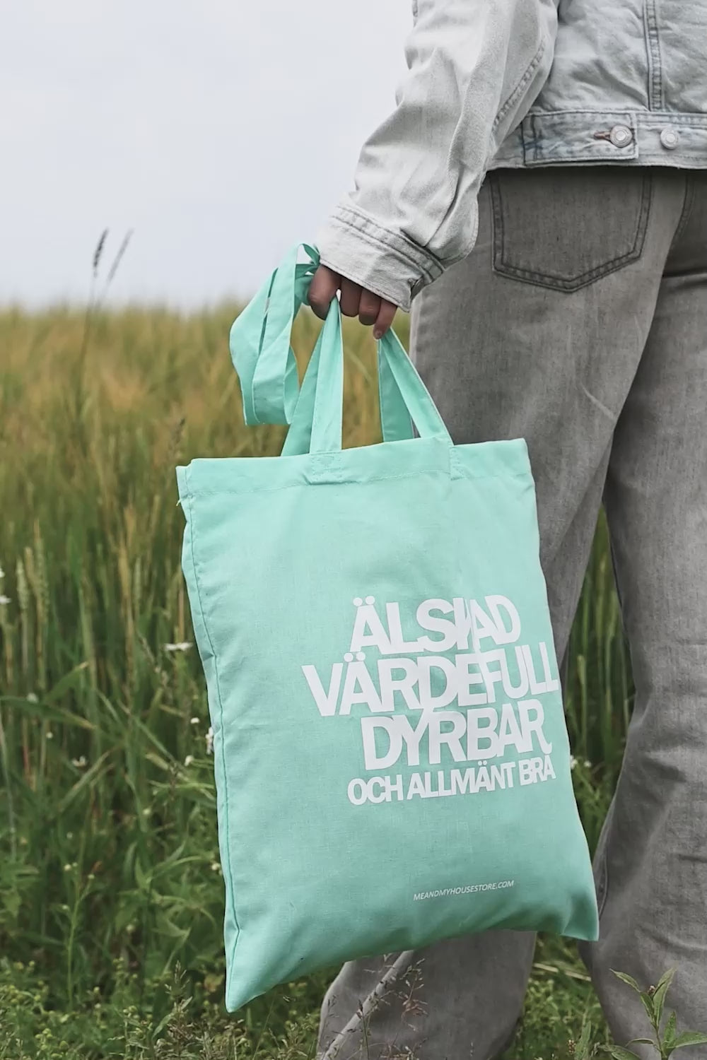 Ladda video: Tygkasse i mint: Älskad, värdefull, dyrbar. Och allmänt bra.